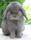 Babar O'Cap Babar O'Cap
