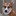 Leigh Caplan Leigh Caplan