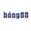bong88