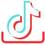 Download TikTok  Videos Free - No Watermark