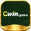 cwincomnet