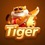 6tiger