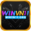 winvn11org