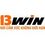 13windomains