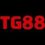 stg88com