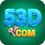 53d