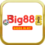 BIG88