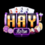 HAYWIN