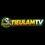 tieulamtv.work