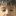 Zhe Sto