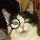 lobo_tuerto lobo_tuerto