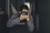 Roan Nail Roan Nail