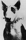 Dusty Matthews