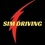 simdrivingblog (at gmail)