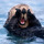 ben.talberg (at appcanny)